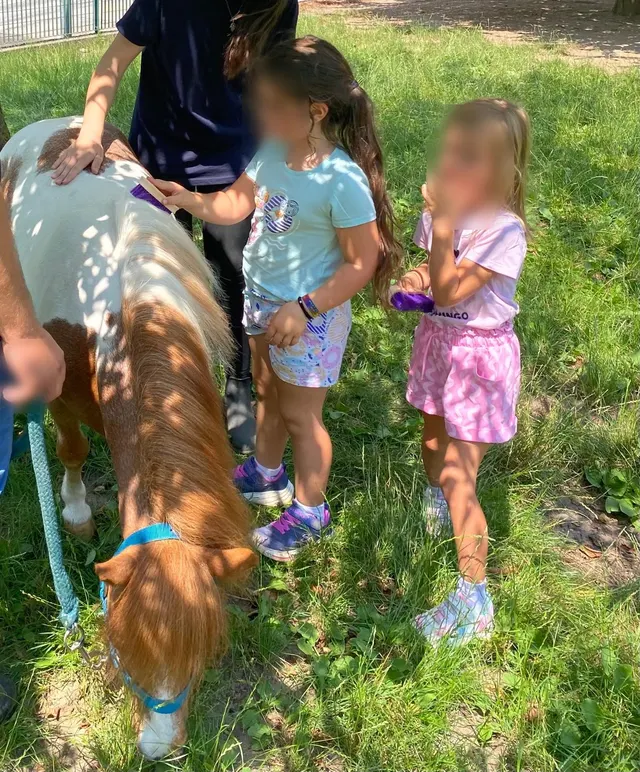 Bambini accarezzano un pony nel prato