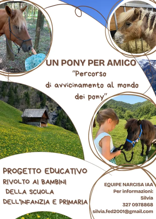 Volantino “Un pony per amico” — percorso di avvicinamento al mondo dei pony per la scuola dell’infanzia e primaria