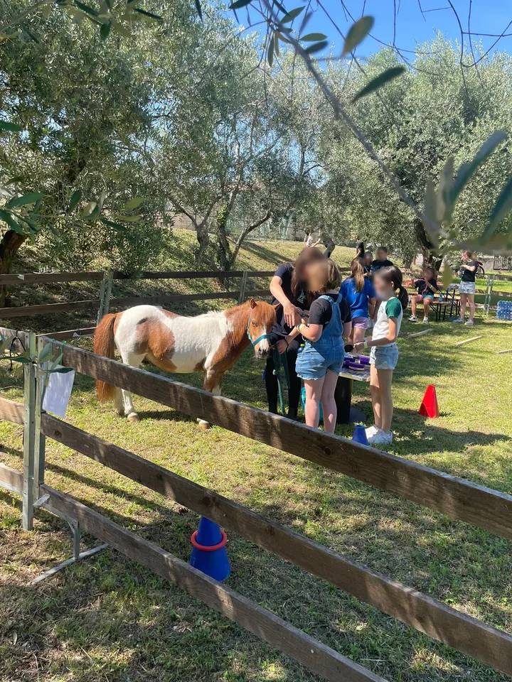 Bambini a contatto con un pony