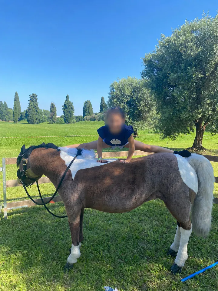 Bambina accanto a un pony pezzato sotto gli ulivi