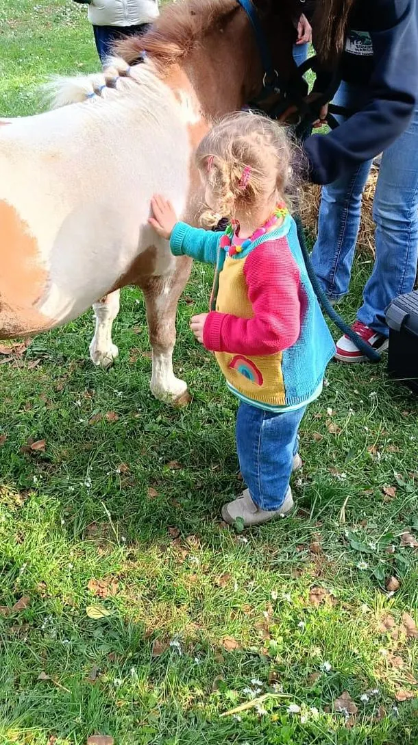 Una bambina accarezza il manto del pony Joy sul prato