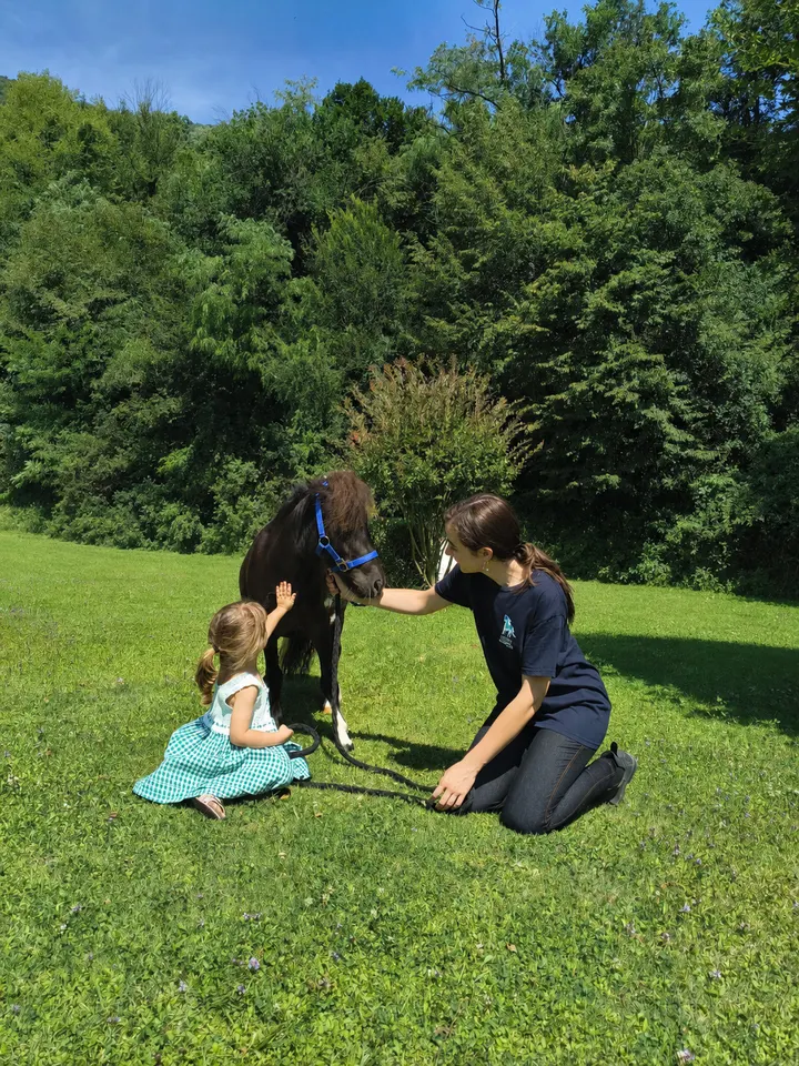 Bambini e ragazzi a contatto con i pony
