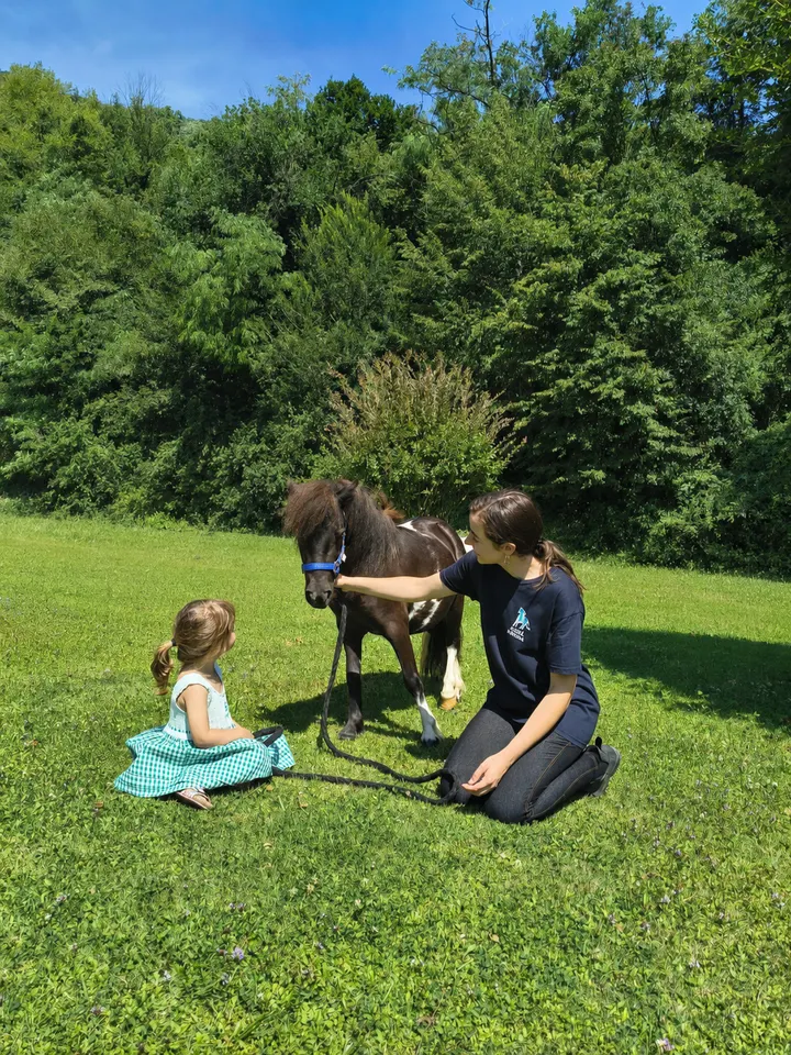 Un momento dal nostro incontro con i pony