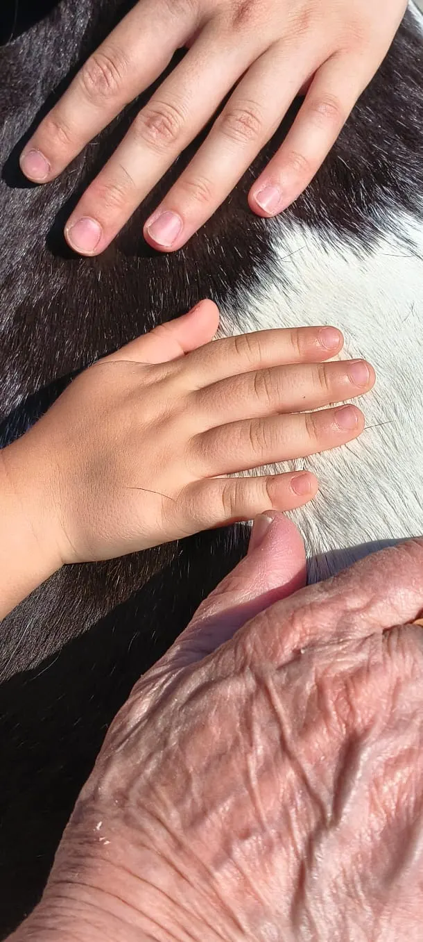 Cura e carezze durante l’incontro con il pony