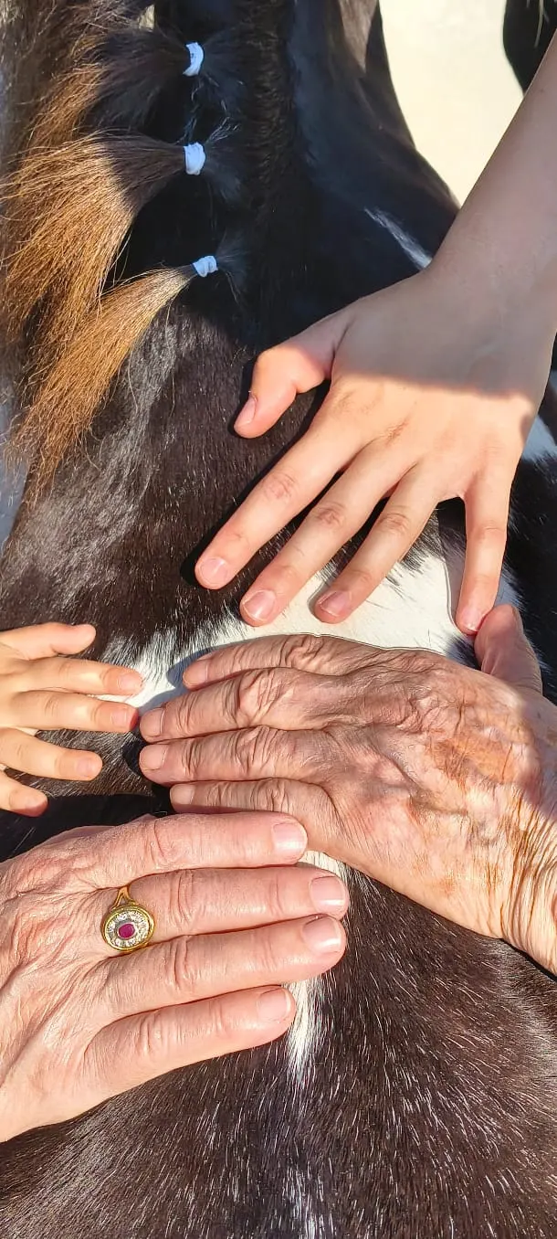 Bambini e ragazzi a contatto con i pony