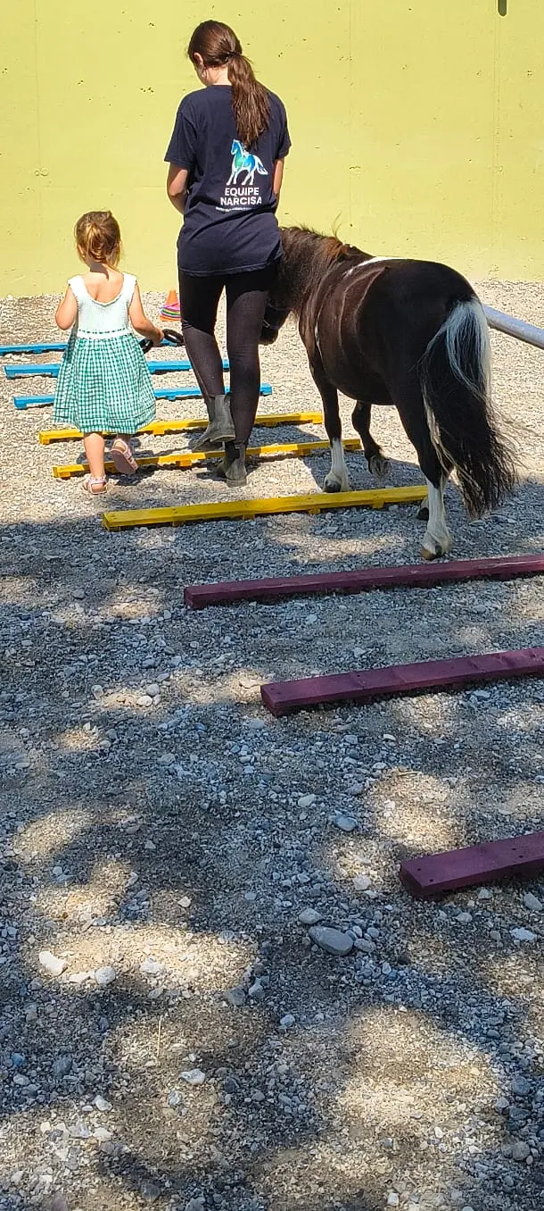 Un legame che nasce con il pony