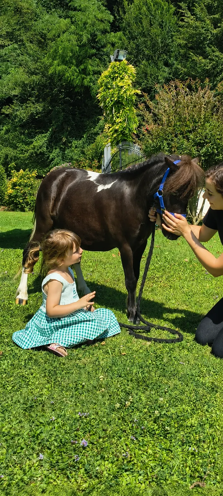 Un momento dal nostro incontro con i pony