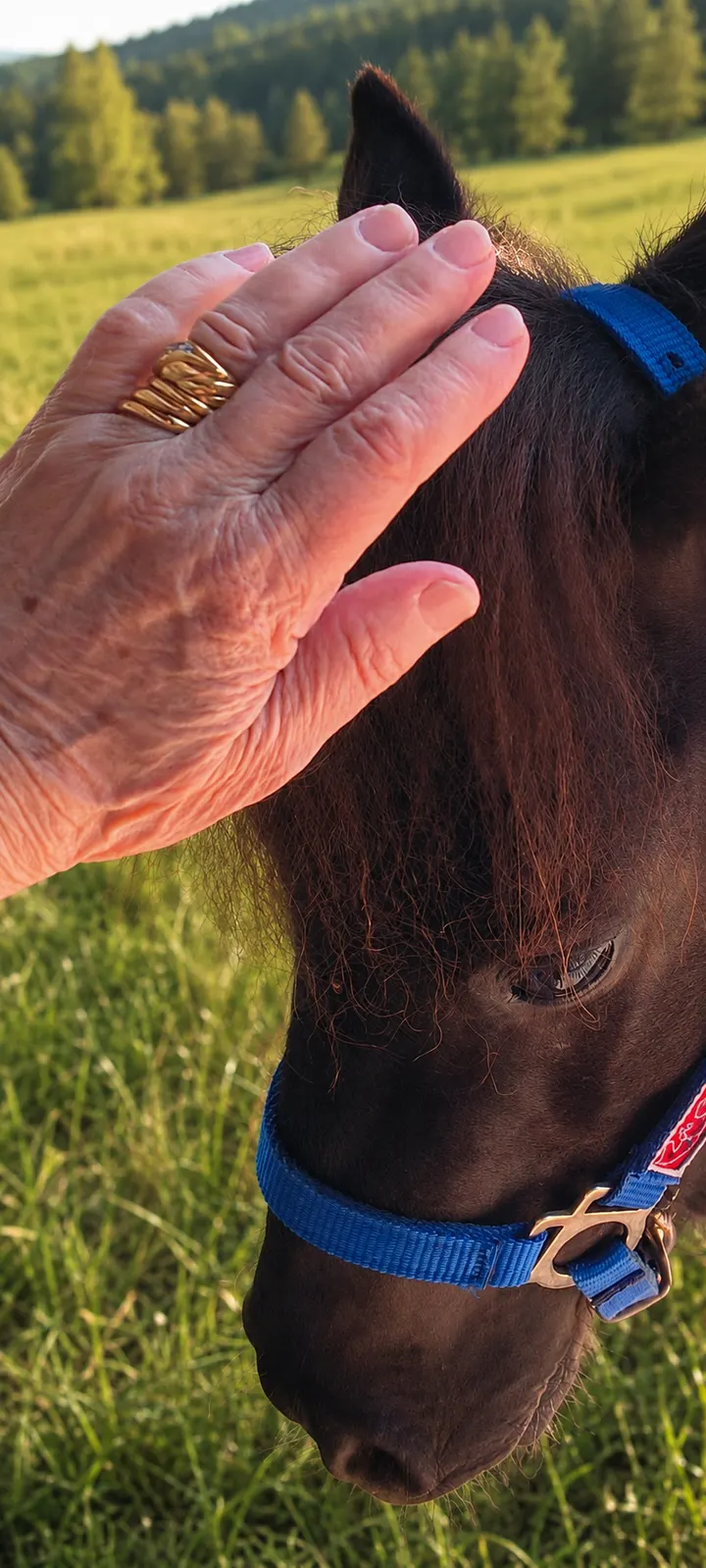 Bambini e ragazzi a contatto con i pony