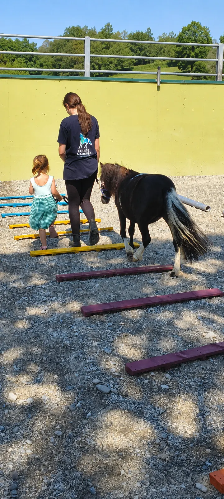 Insieme ai nostri pony, all’aria aperta
