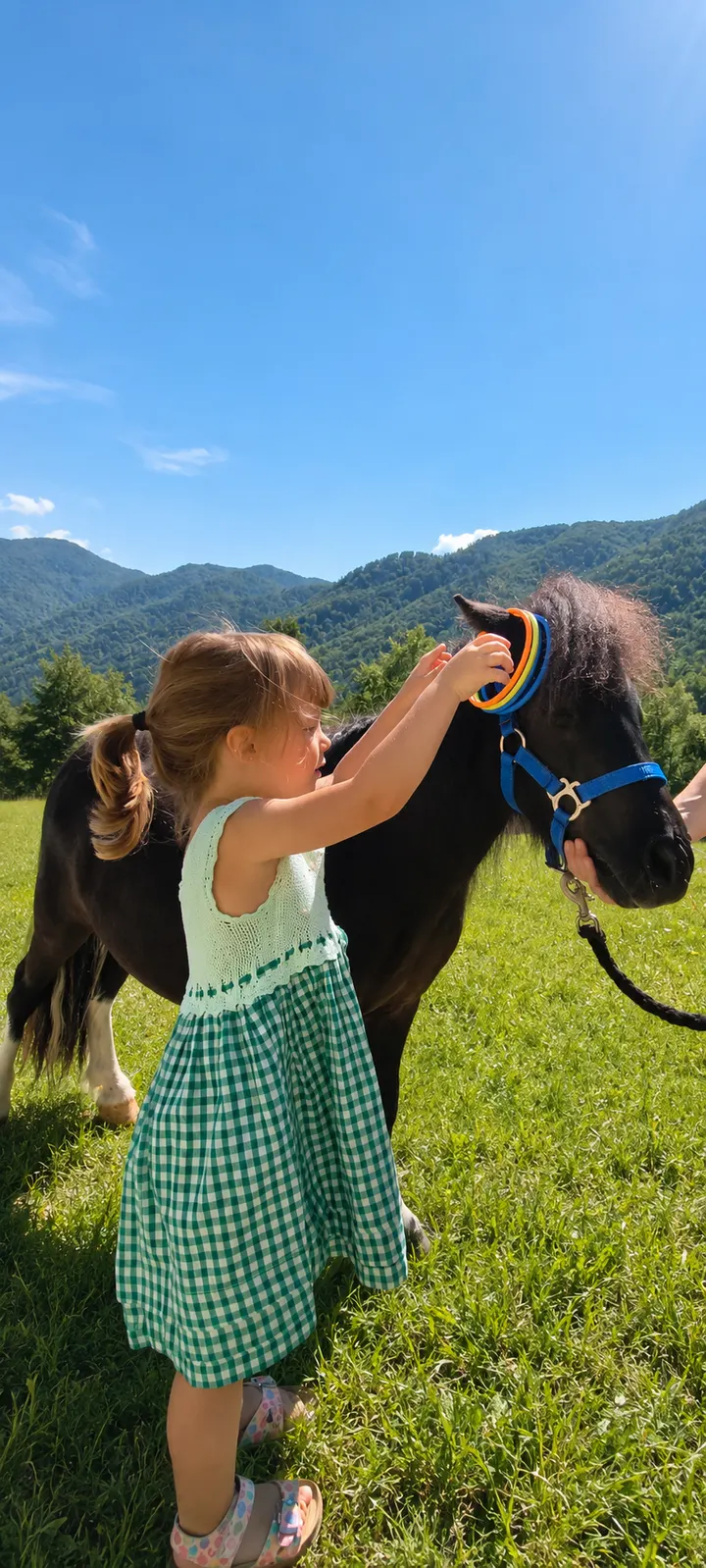 Bambini e ragazzi a contatto con i pony