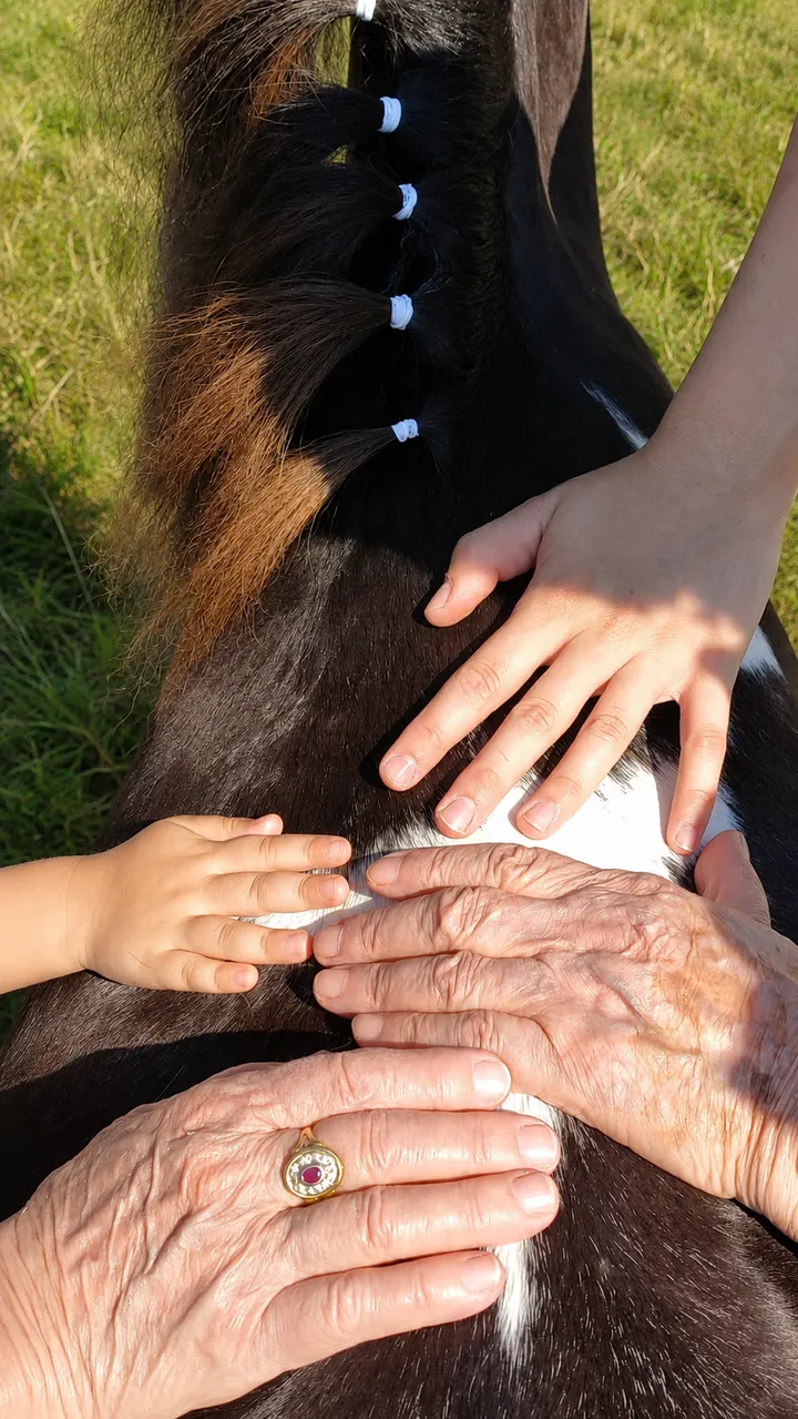 Un legame che nasce con il pony