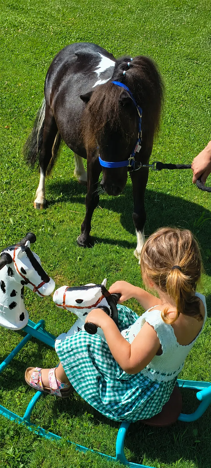 Bambini e ragazzi a contatto con i pony