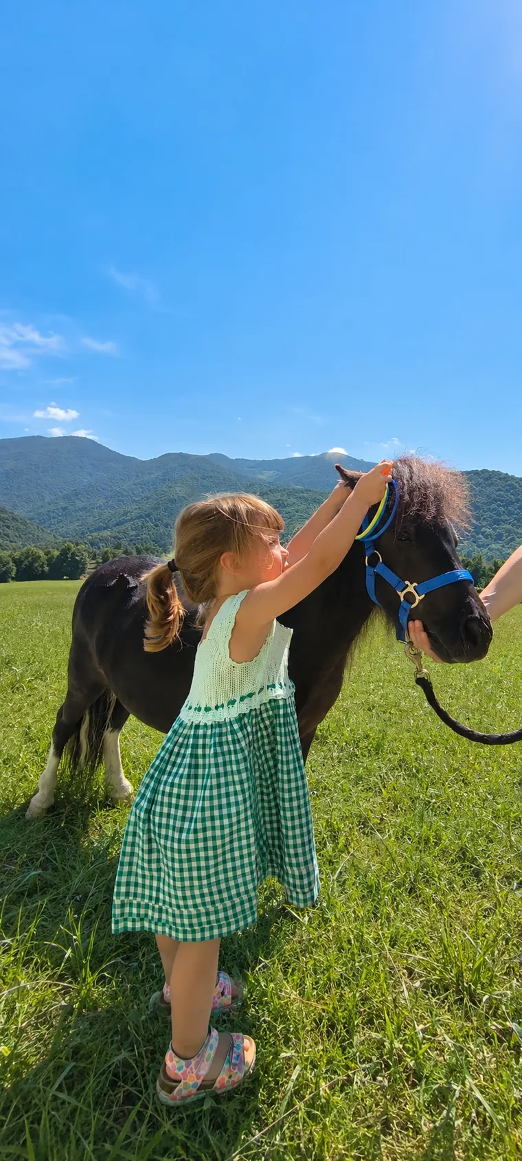 Una bambina gioca felice con un pony