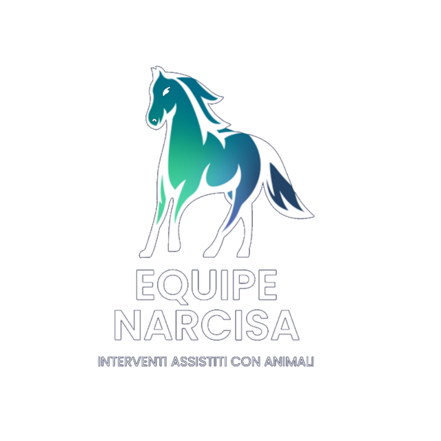 Equipe Narcisa