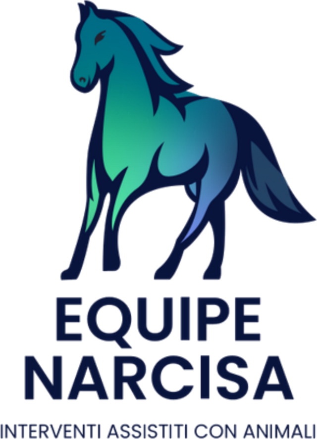 Equipe Narcisa